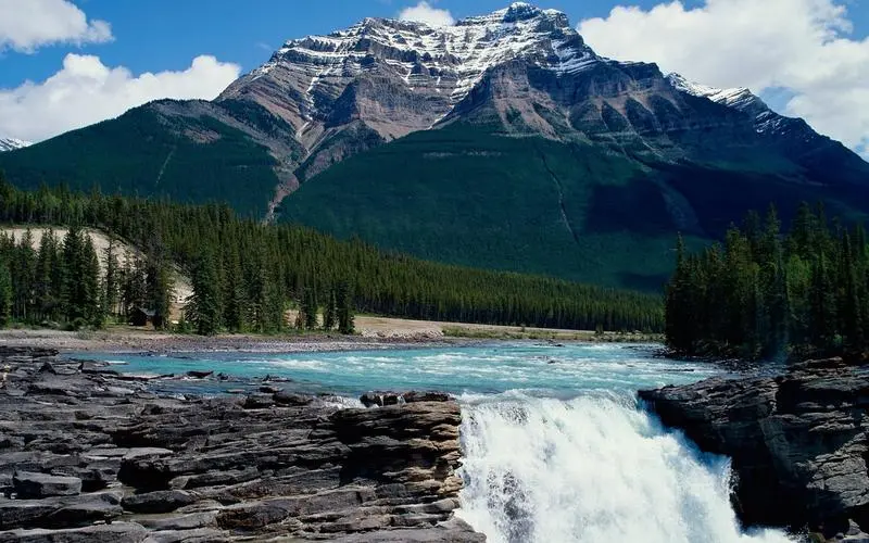 电子新型数字化